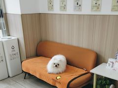 -申普宠物医院·眼科·心内科·影像科(普陀分院)