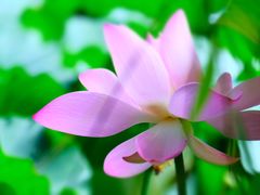 -钓鱼台国宾馆