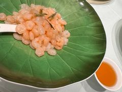 -张生记(丁香国际店)