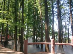 -东湖落雁景区