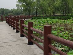 -长兴太湖图影湿地文化园