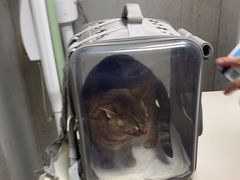 -美联众合动物医院·24h京西诊疗中心