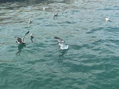 -威海国际海水浴场旅游区