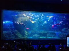 -多彩贵州城极地海洋世界