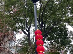 -春花秋色城市公园