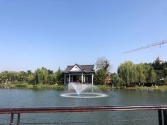 -映月湖公园