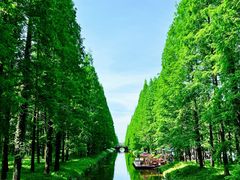 -黄海国家森林公园