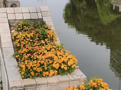 -南通濠河风景名胜区