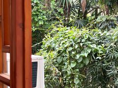 -土桥老街黄鸭子(清淳家园店)