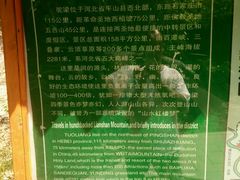 -石家庄极地海洋世界