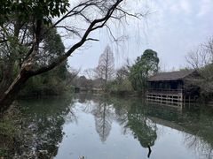 -西溪国家湿地公园