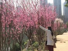 -重庆彩云湖湿地公园