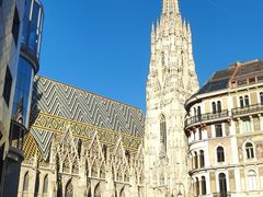 -斯蒂芬主教座堂(Stephansdom)