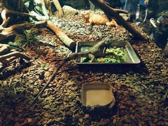 -海合安武汉极地海洋公园