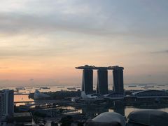 -新加坡瑞士史丹福酒店