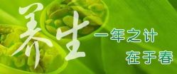 -香薇妮丝·定制减肥·身材管理