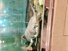 -衡山汇·高级粤菜(霄云路店)