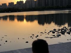 -南翔镇银翔湖公园