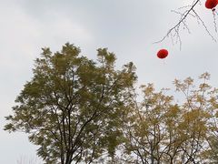 -星巴克(成都科学城店)