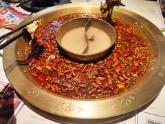 -哥老官重庆美蛙鱼头(宝山龙湖店)