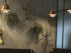 -Apollo·西班牙小酒馆(安福路店)