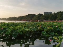 -西湖外事游船(湖滨二公园外事游船码头)