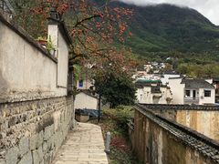 -塔川景区
