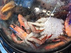 -乔哥铭洋海鲜自助(皇城恒隆广场店)