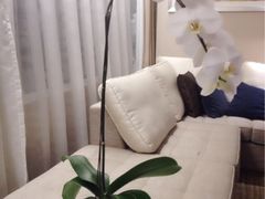 -新加坡万豪董厦酒店