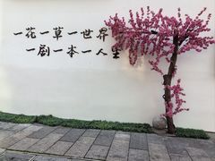 -青果巷历史文化街区