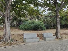 -深圳湾公园(南山区)