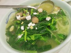上汤豌豆尖-东兴楼饭庄(六里桥店)