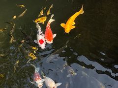 -新荣记(西溪湿地店)