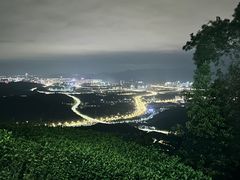景点-黄埔油麻山森林公园