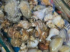 -船奇蒸汽海鲜·闽菜(八市海鲜总店)