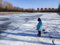 -森林公园(尖草坪区)