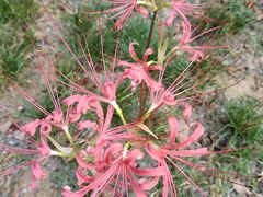 -海合安武汉极地海洋公园