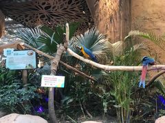 -杭州开元森泊度假乐园