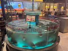 -魏铭鱼头捞饭(晋阳路店)