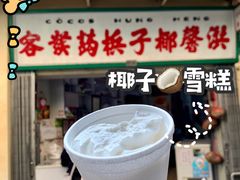 -洪馨椰子