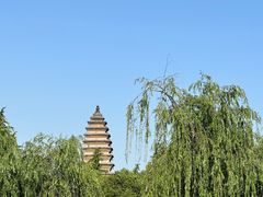 -洛阳白马寺