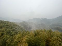 -宁波浙东大竹海景区