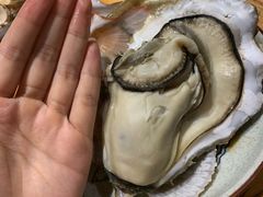 -77号渔船·蒸海鲜青岛菜(积米崖店)