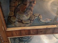 -上海昆虫博物馆