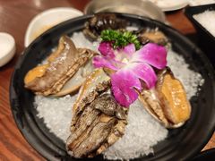 鲜活六头鲍-东海怡品海鲜豆捞(舟宿夜江店)