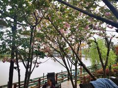 -马帮寨院坝火锅(龙港公园店)