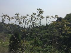 -云峰山自然风景区