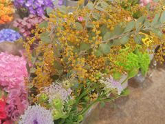 -双季花艺园艺市场(浦东店)