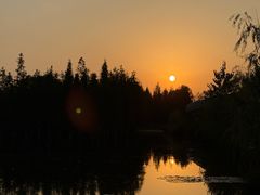 -白鹭湾湿地公园