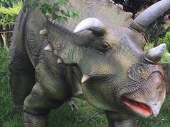 iphone_upload_pic-自贡恐龙博物馆